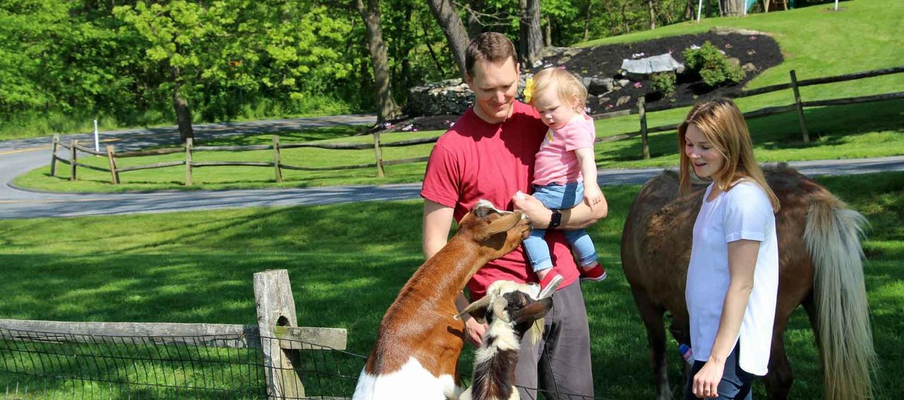 Mount Joy Rocky Acre Farm Bed & Breakfast المظهر الخارجي الصورة