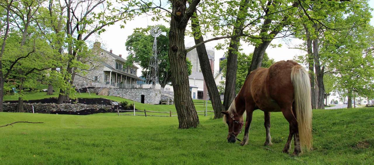 Mount Joy Rocky Acre Farm Bed & Breakfast المظهر الخارجي الصورة